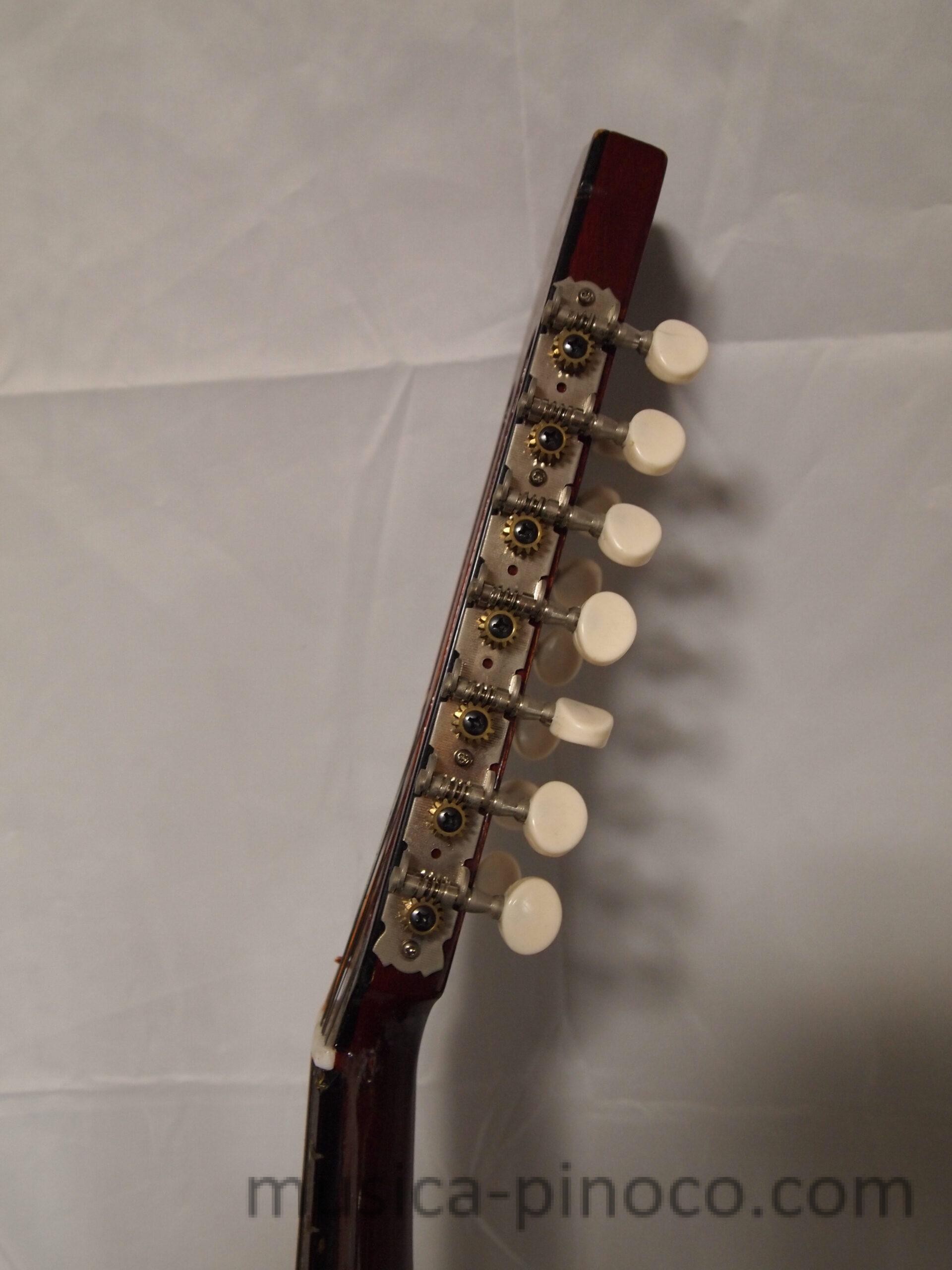 バンドゥリア（14弦）(Bandurria 14Strings)※ - MUSICA MUSEUM