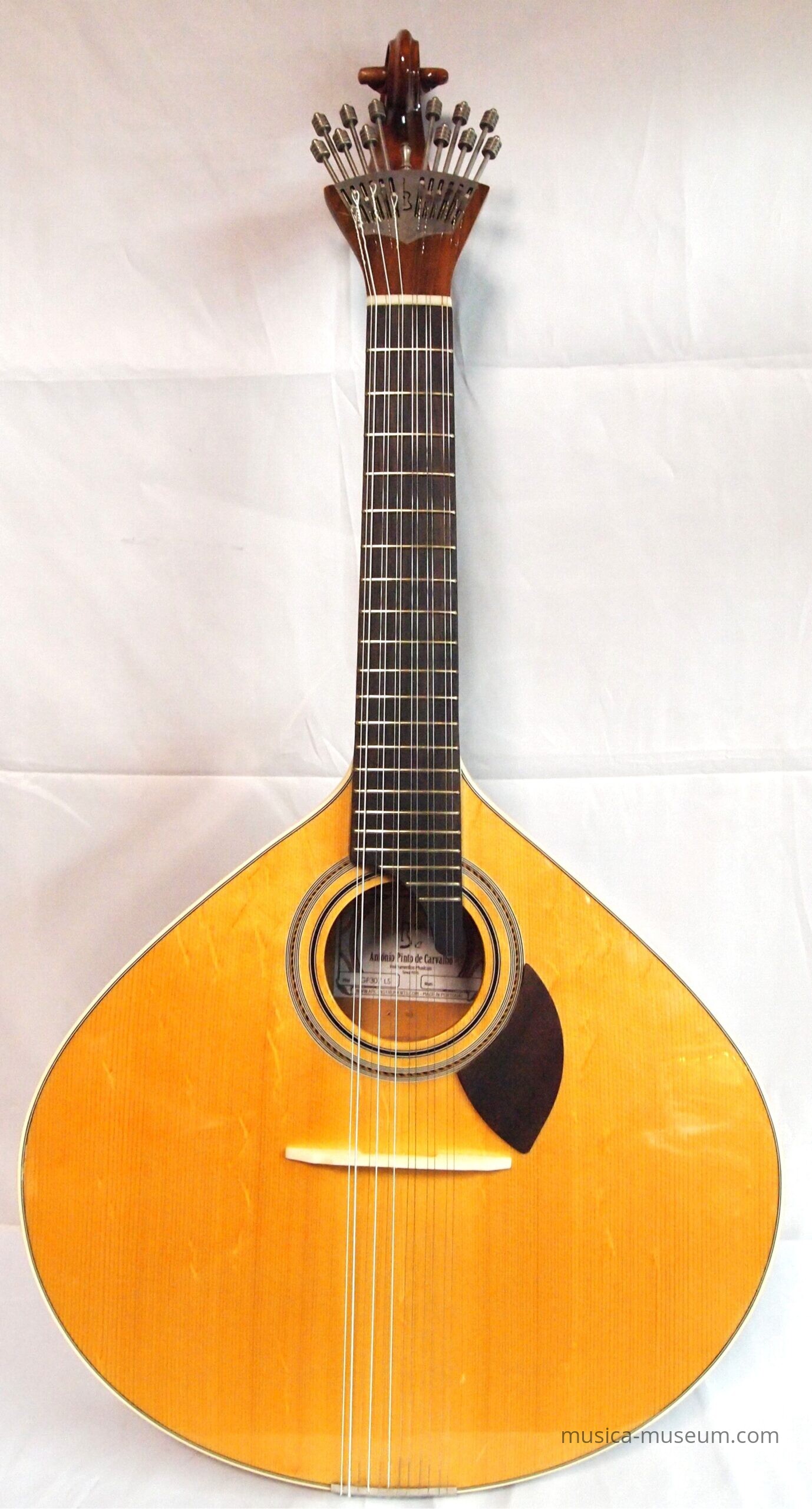 P1011511-scaled.jpg